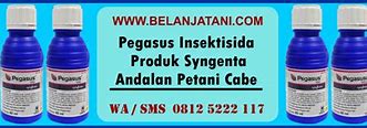 Bahan Aktif Obat Pegasus